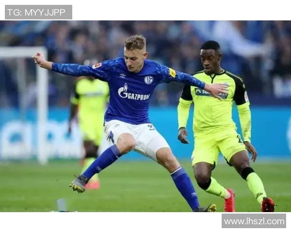 沙克尔04与弗赖堡激战正酣谁能在德甲赛场上笑到最后